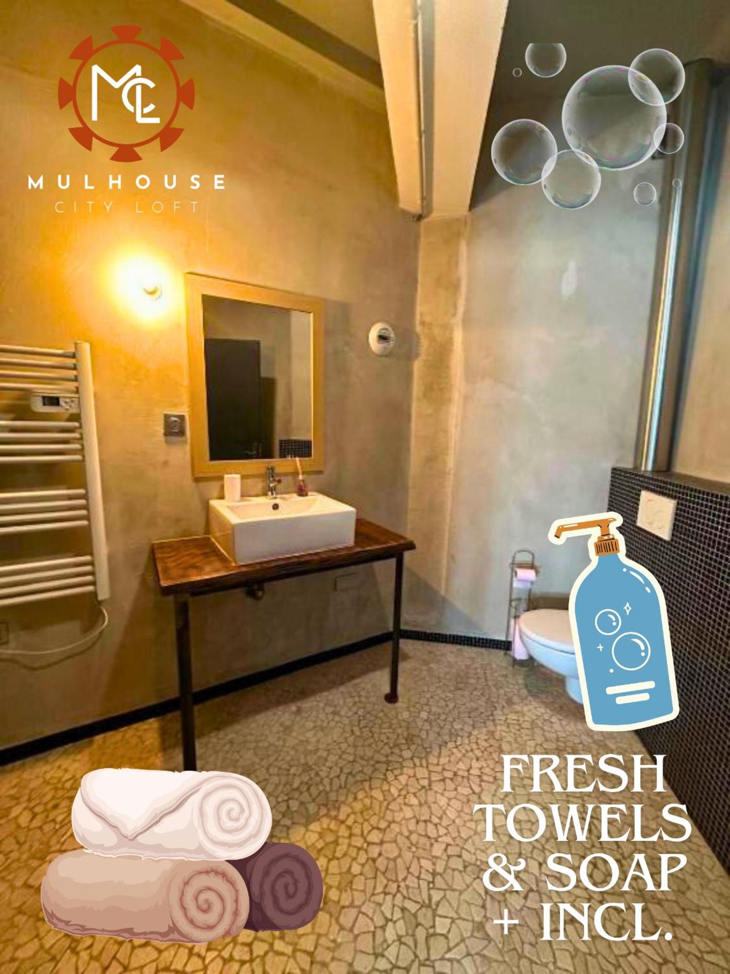 Mulhouse City Loft المظهر الخارجي الصورة